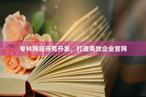 专科网站开荒开发，打造高效企业官网