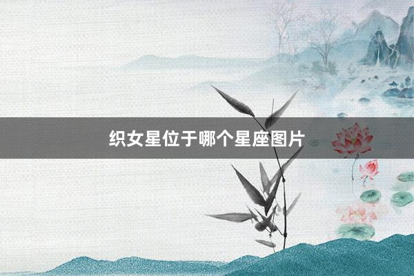 织女星位于哪个星座图片