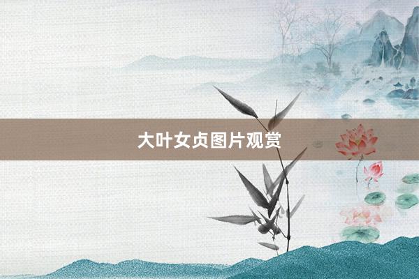 大叶女贞图片观赏