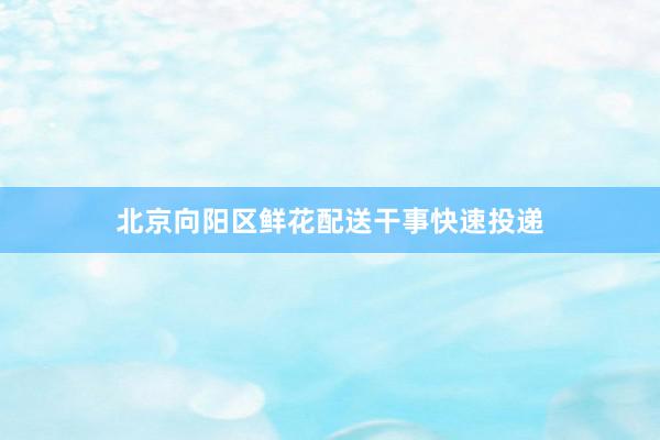 北京向阳区鲜花配送干事快速投递